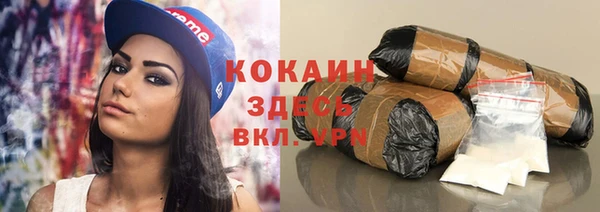 стафф Аркадак